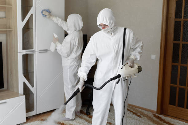 Affordable Sewage Cleanup solutions in Port William, OH
